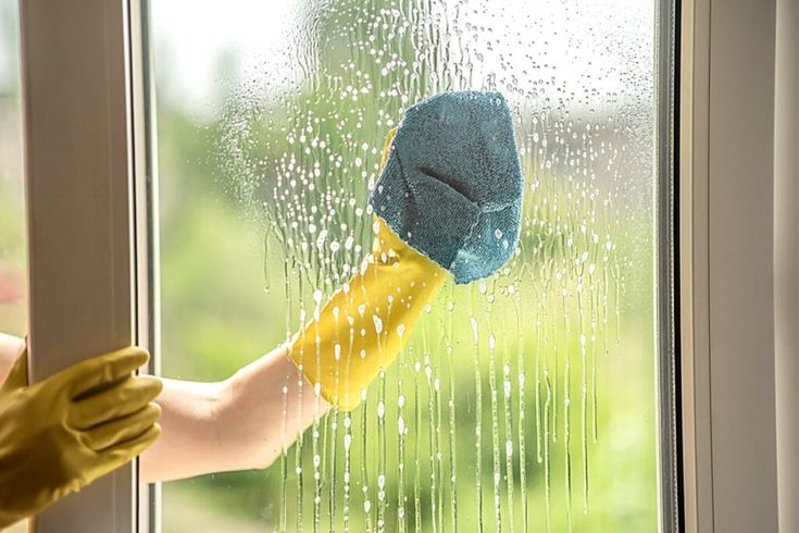 Vancouver Home Cleaning Services window