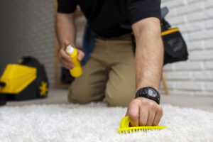 Vancouver Home Cleaning Services carpet