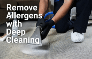 Professional carpet steam cleaning – Deep Cleaning Vancouver